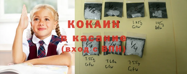 хмурый Нея