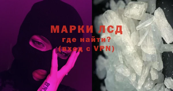 хмурый Нея