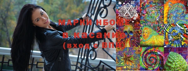 хмурый Нея