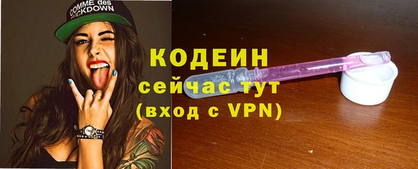 хмурый Нея