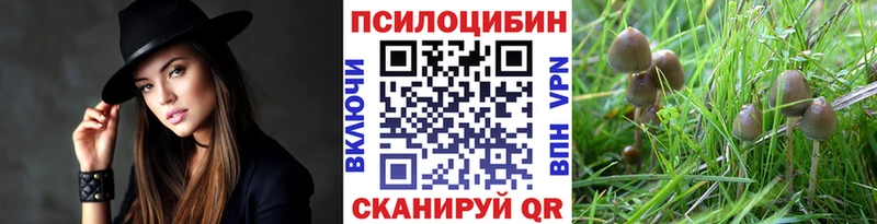 blacksprut рабочий сайт  Тетюши  Галлюциногенные грибы MAGIC MUSHROOMS 