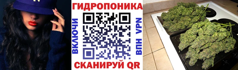 наркошоп  Тетюши  Шишки марихуана план 